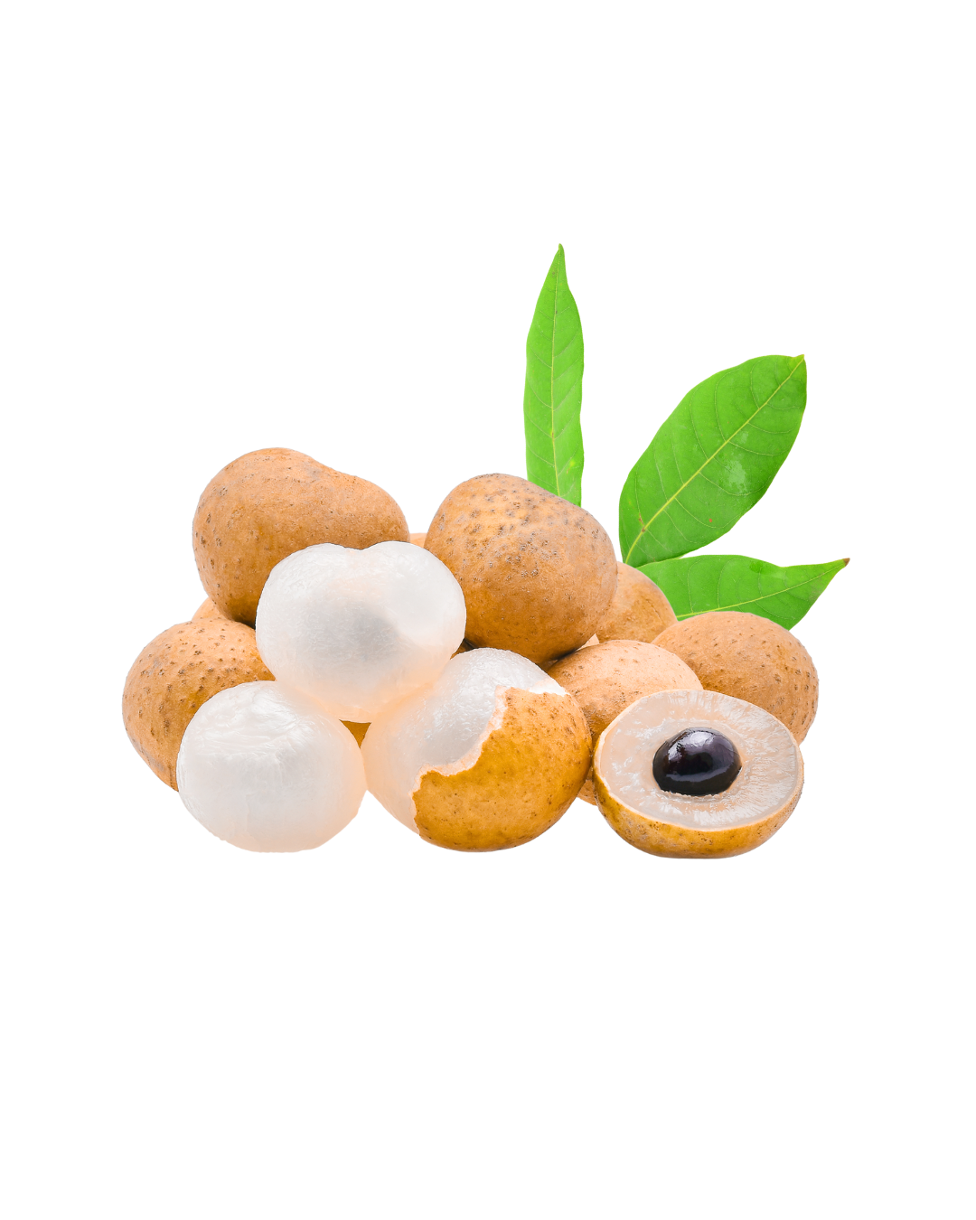 Longan