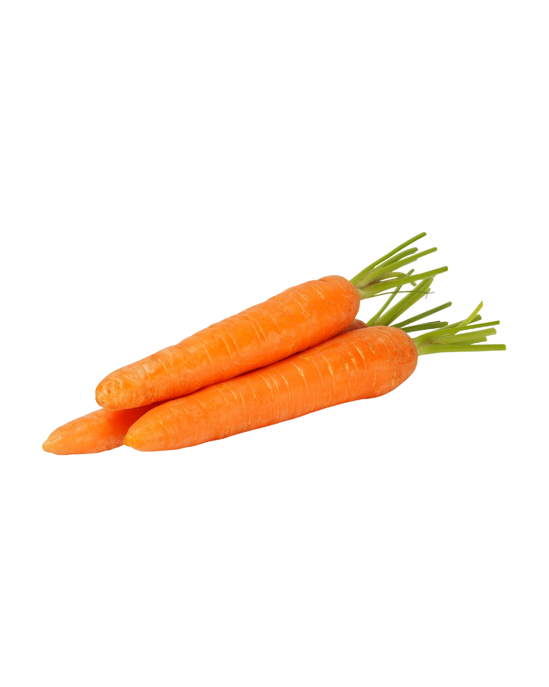 Carrot
