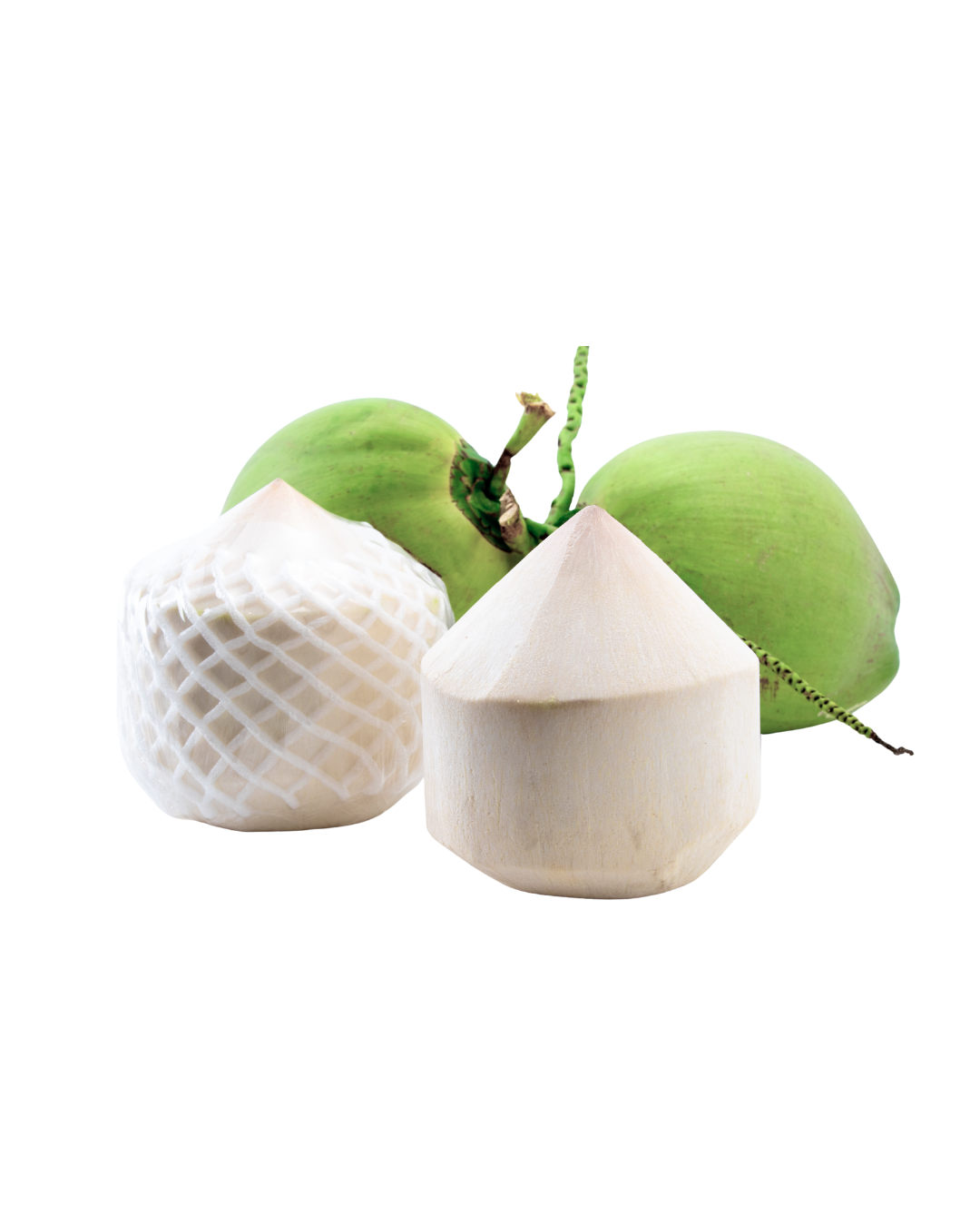 Young Coconut