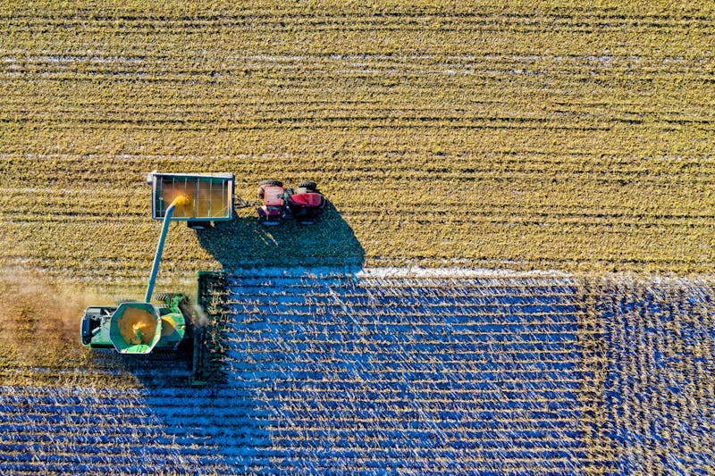 Our farm