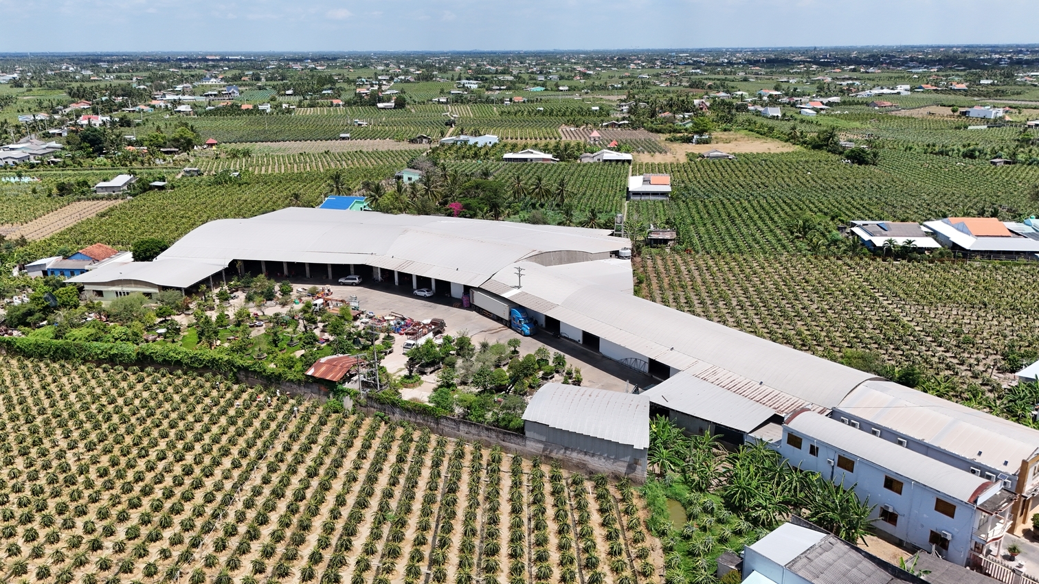 An aerial view of a large facility beside rows of dragon-fruit plants.