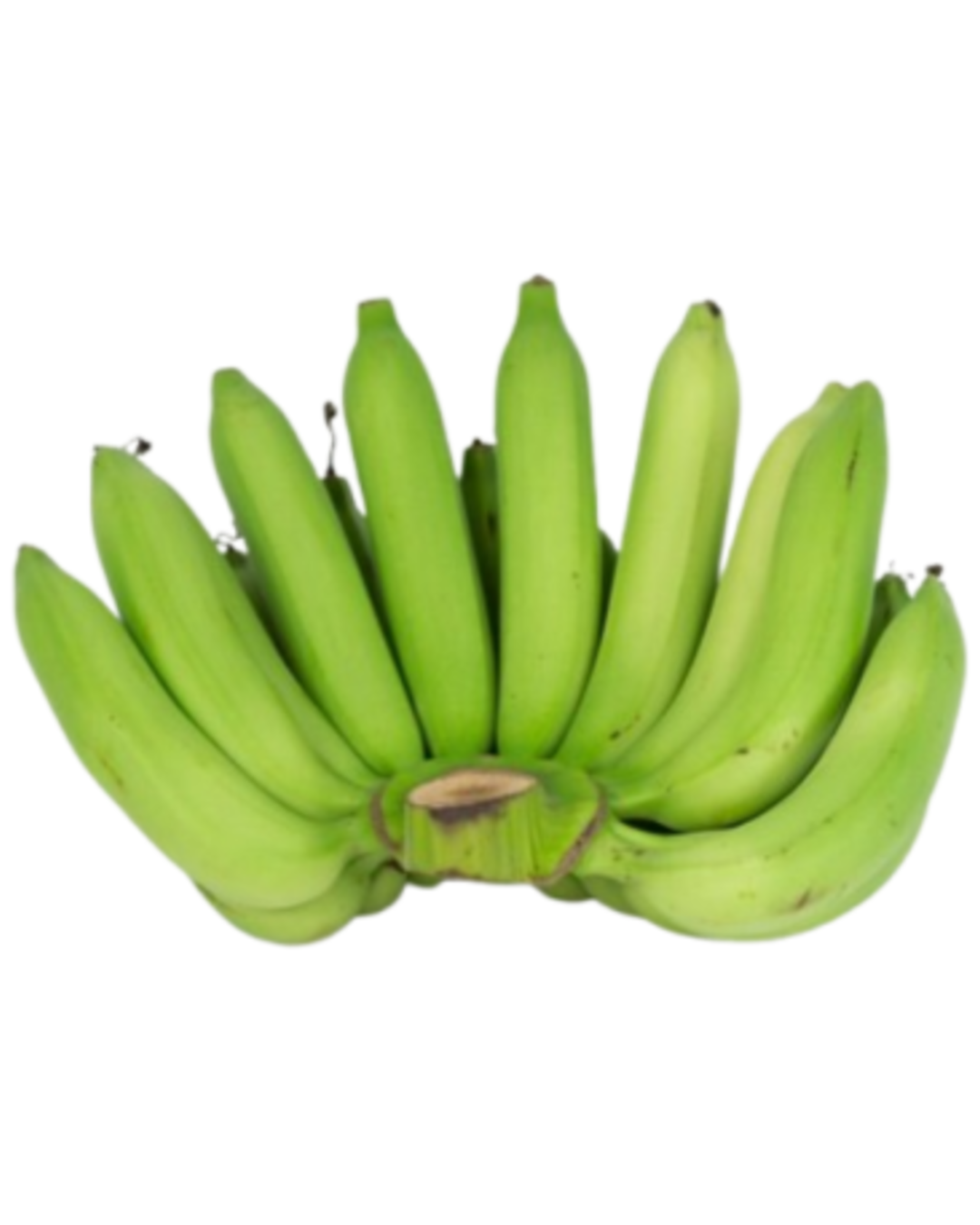 Cavendish Banana