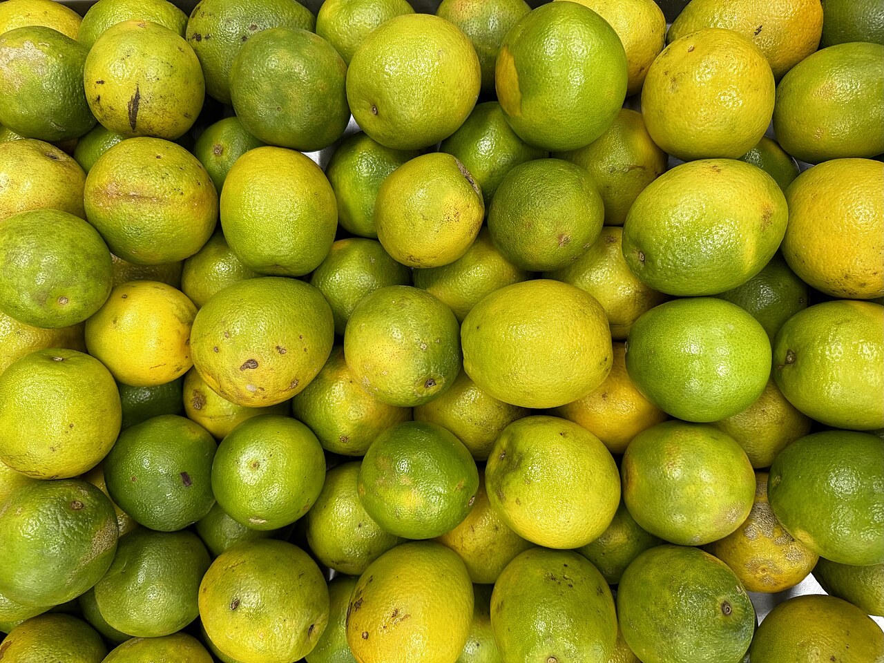 Fresh green and yellow-green limes arranged in a market display.