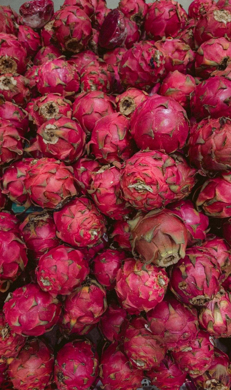Illustrative dragon fruit photograph; flesh colour and cultivar are not verified.