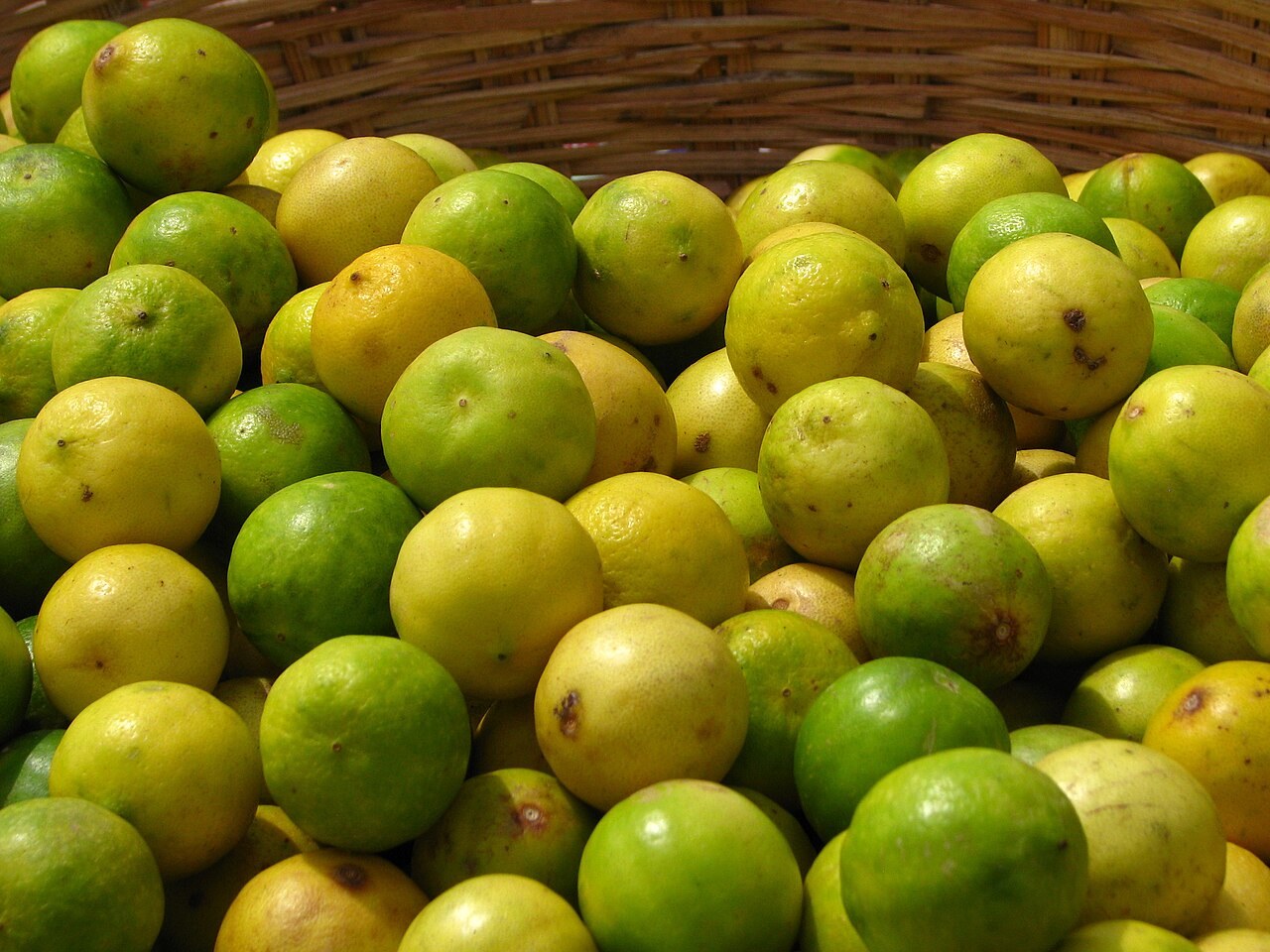 A pile of loose green limes at a produce market.