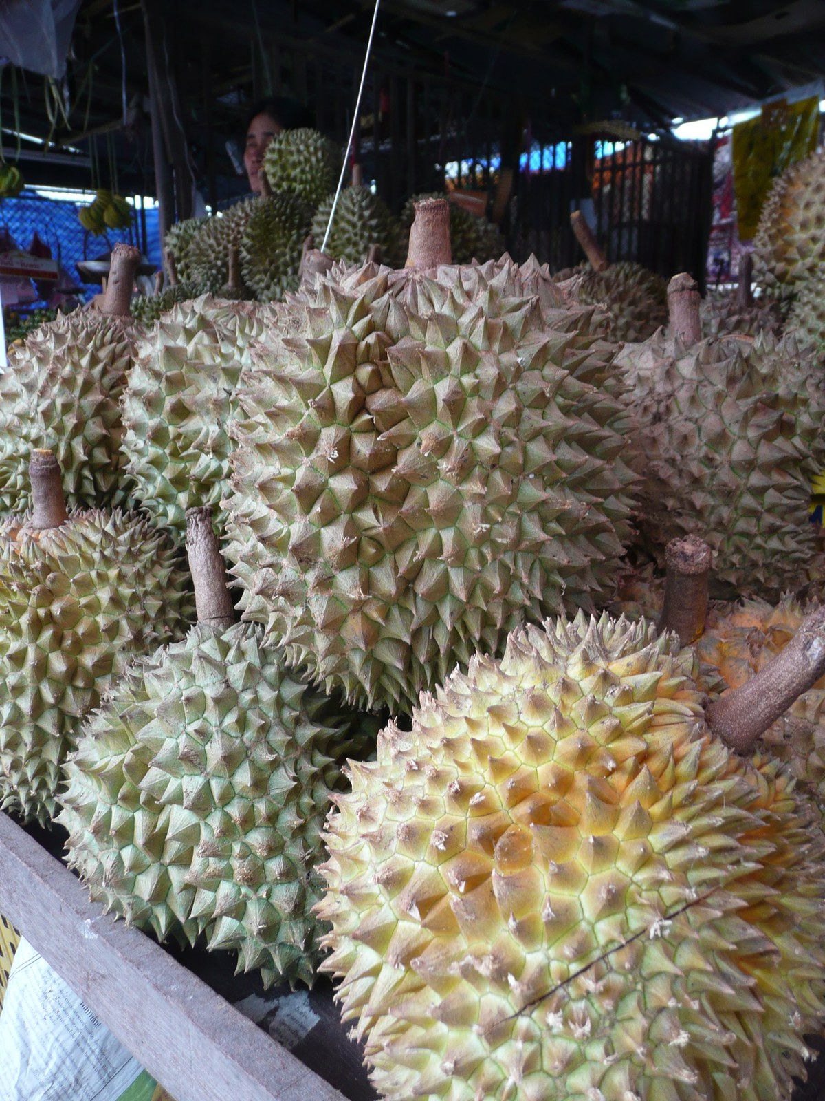 Whole spiky durians displayed close together at an open market.