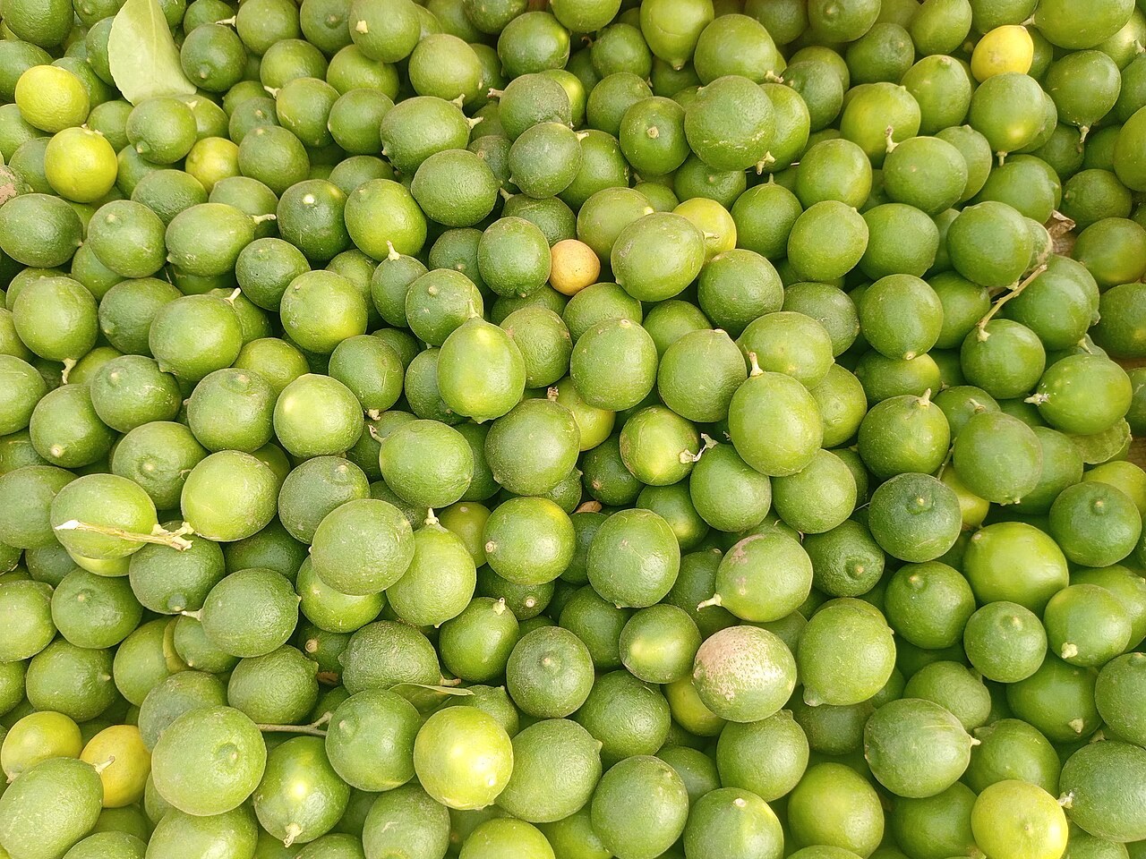 A dense display of loose green limes at a market.