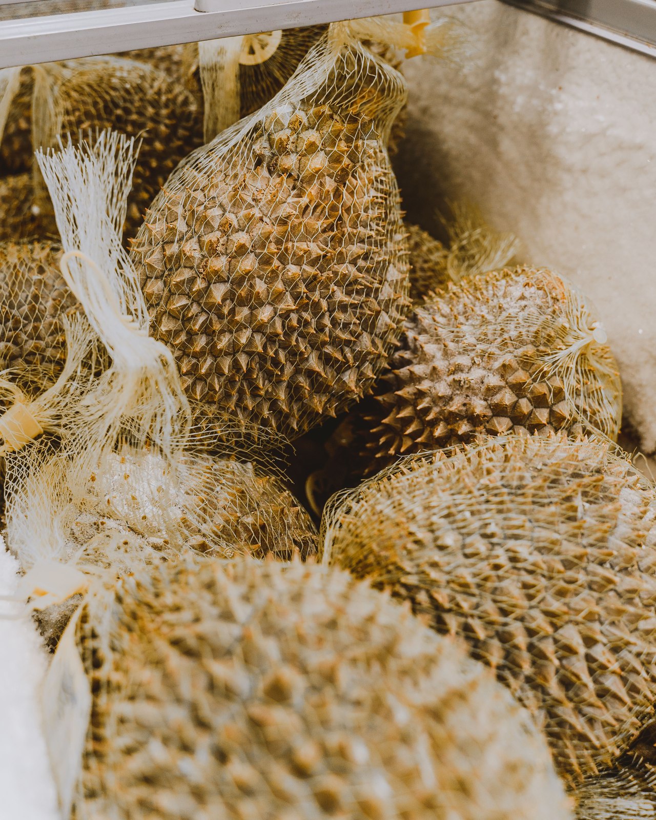 Illustrative fresh durian photograph; cultivar and origin are not verified.