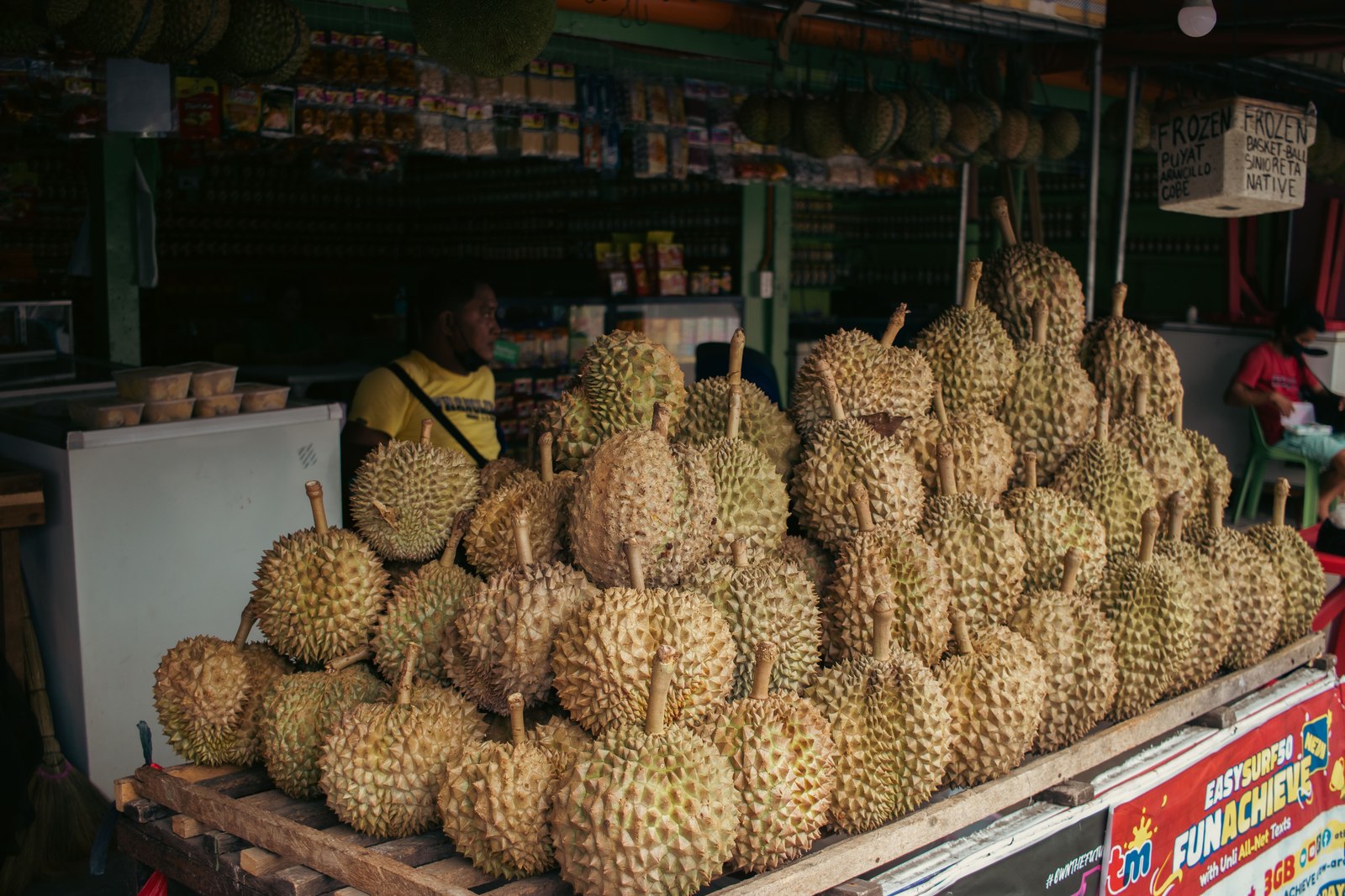 Illustrative fresh durian photograph; cultivar and origin are not verified.