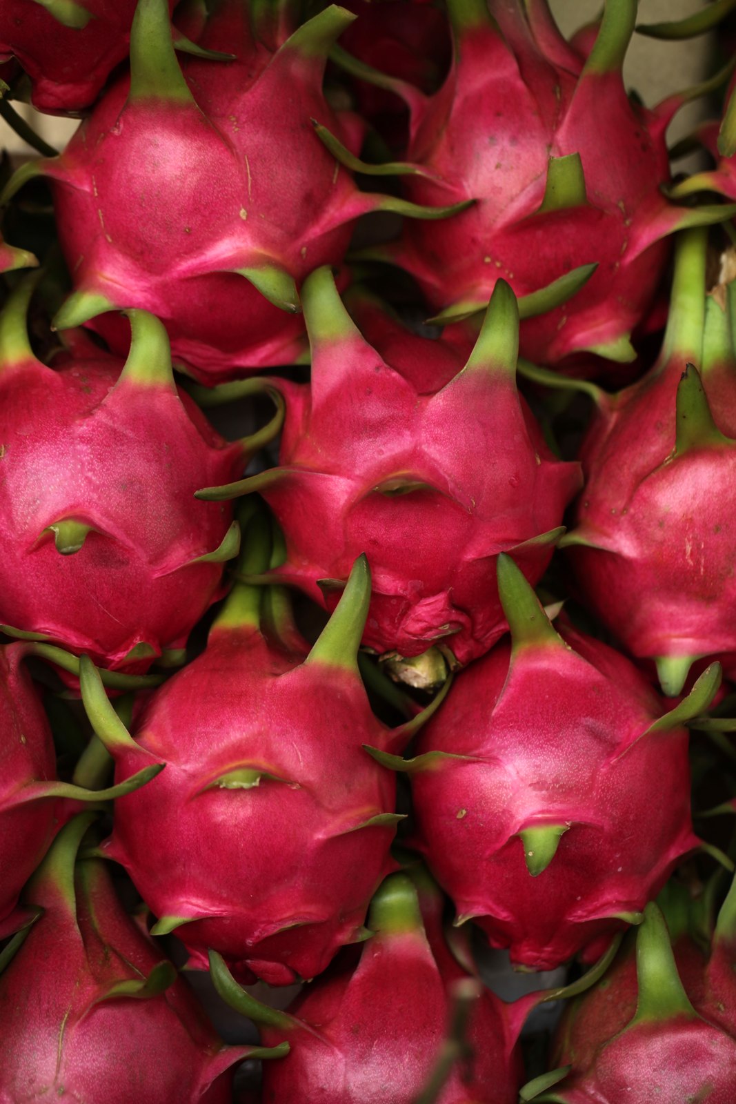 Illustrative dragon fruit photograph; flesh colour and cultivar are not verified.