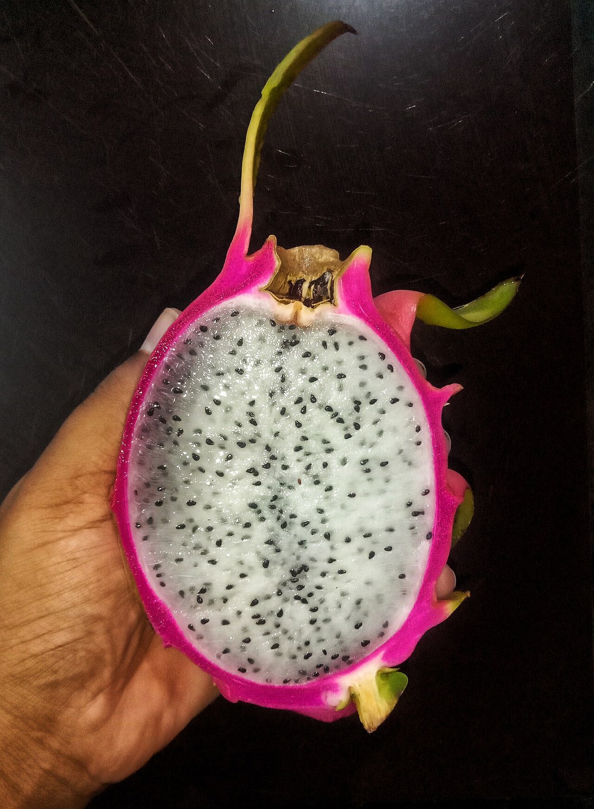 A hand holding a halved white-flesh dragon fruit.