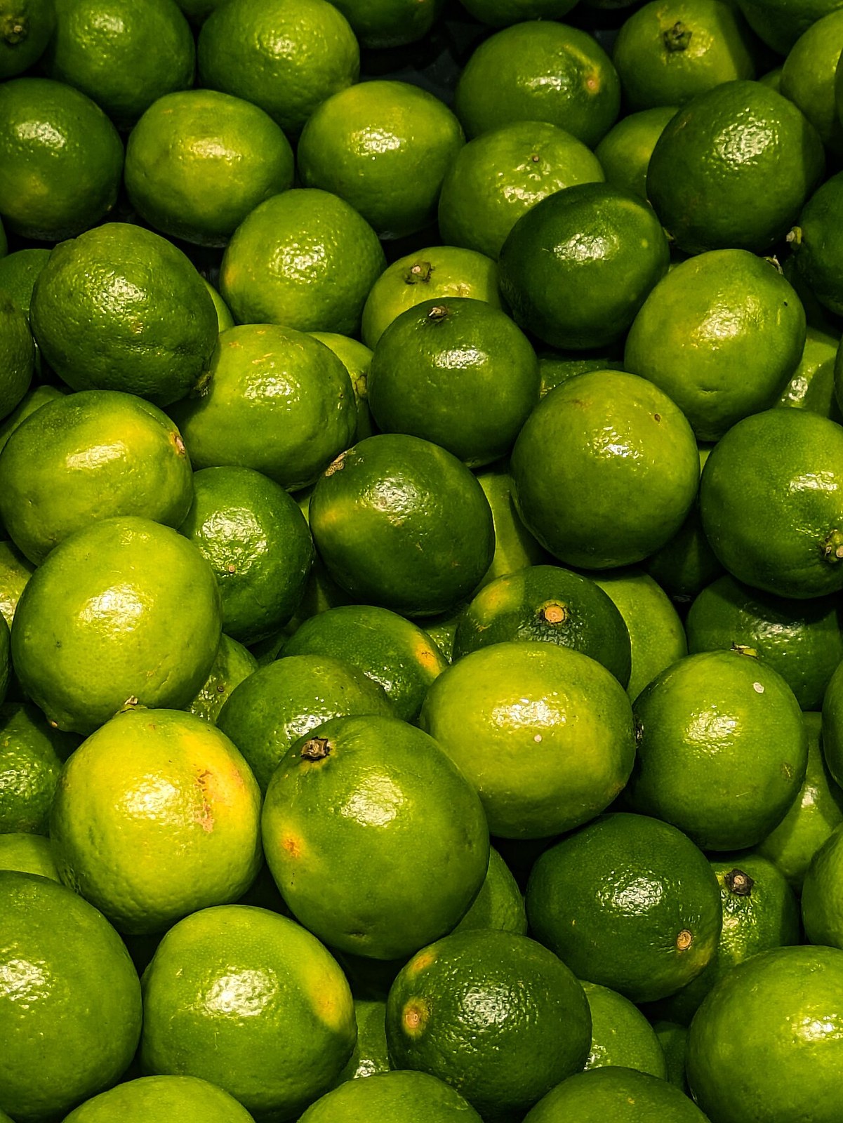 A close-up pile of fresh green limes.
