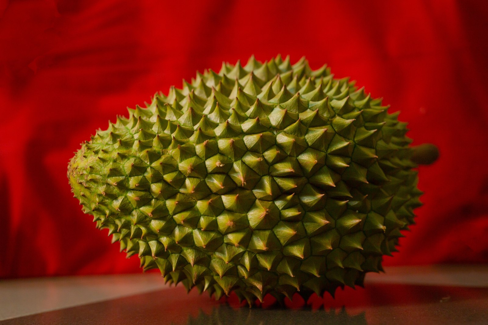 Illustrative fresh durian photograph; cultivar and origin are not verified.