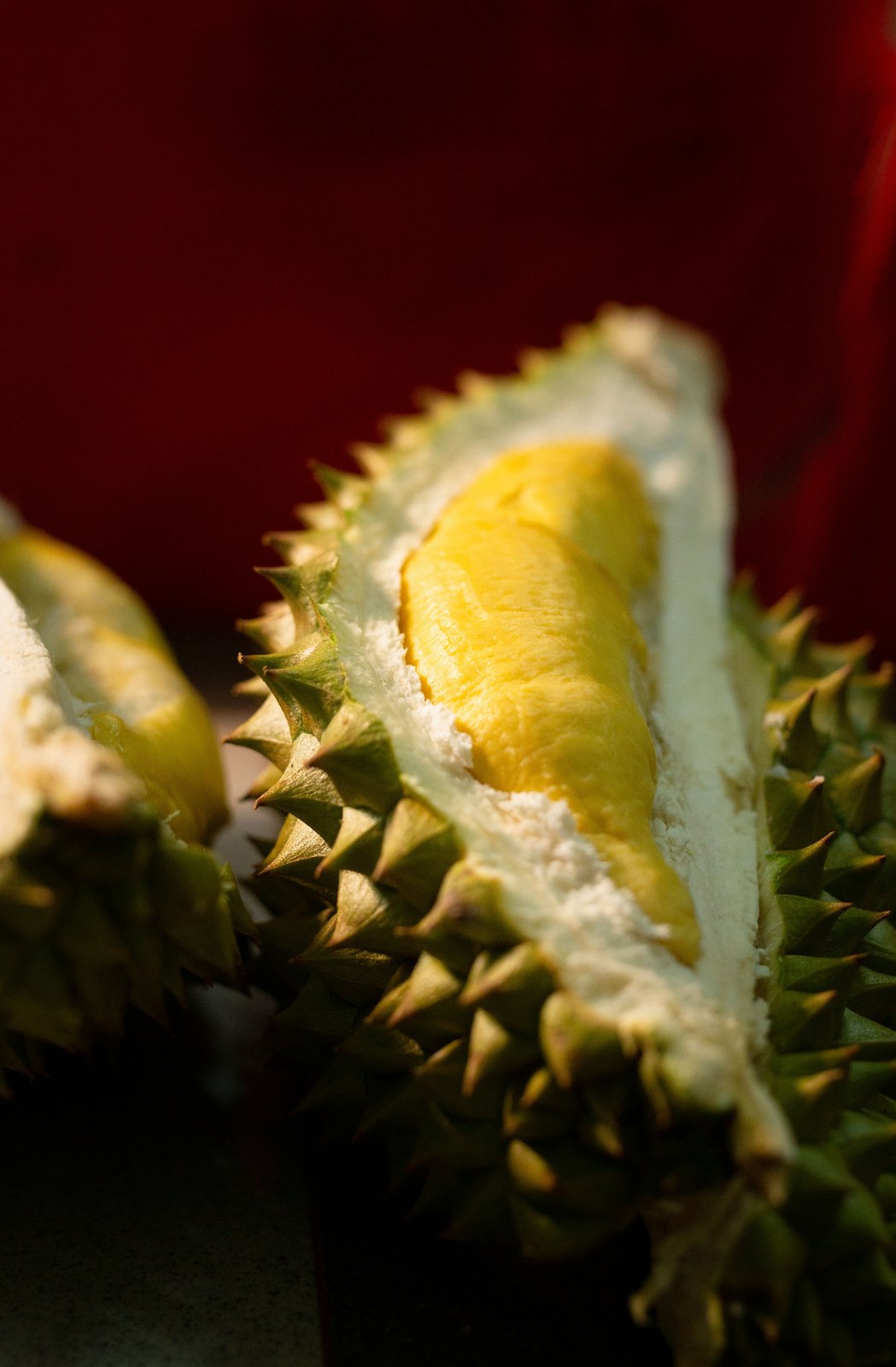 Illustrative fresh durian photograph; cultivar and origin are not verified.