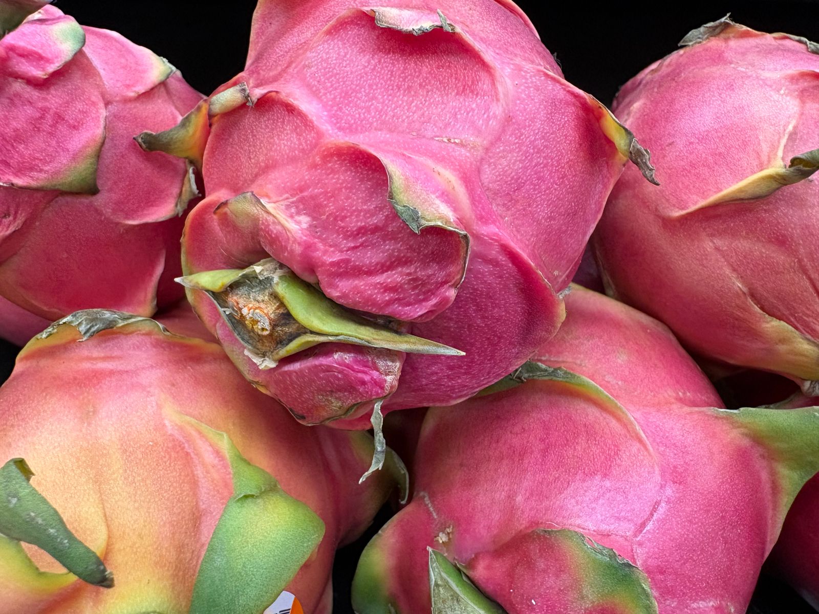 Pink dragon fruits with green bracts in close-up