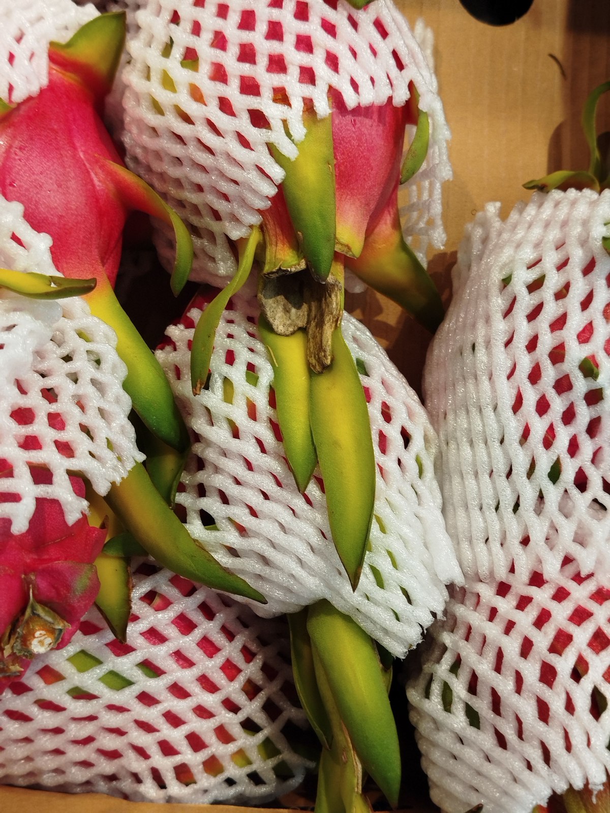 Illustrative dragon fruit photograph; flesh colour and cultivar are not verified.