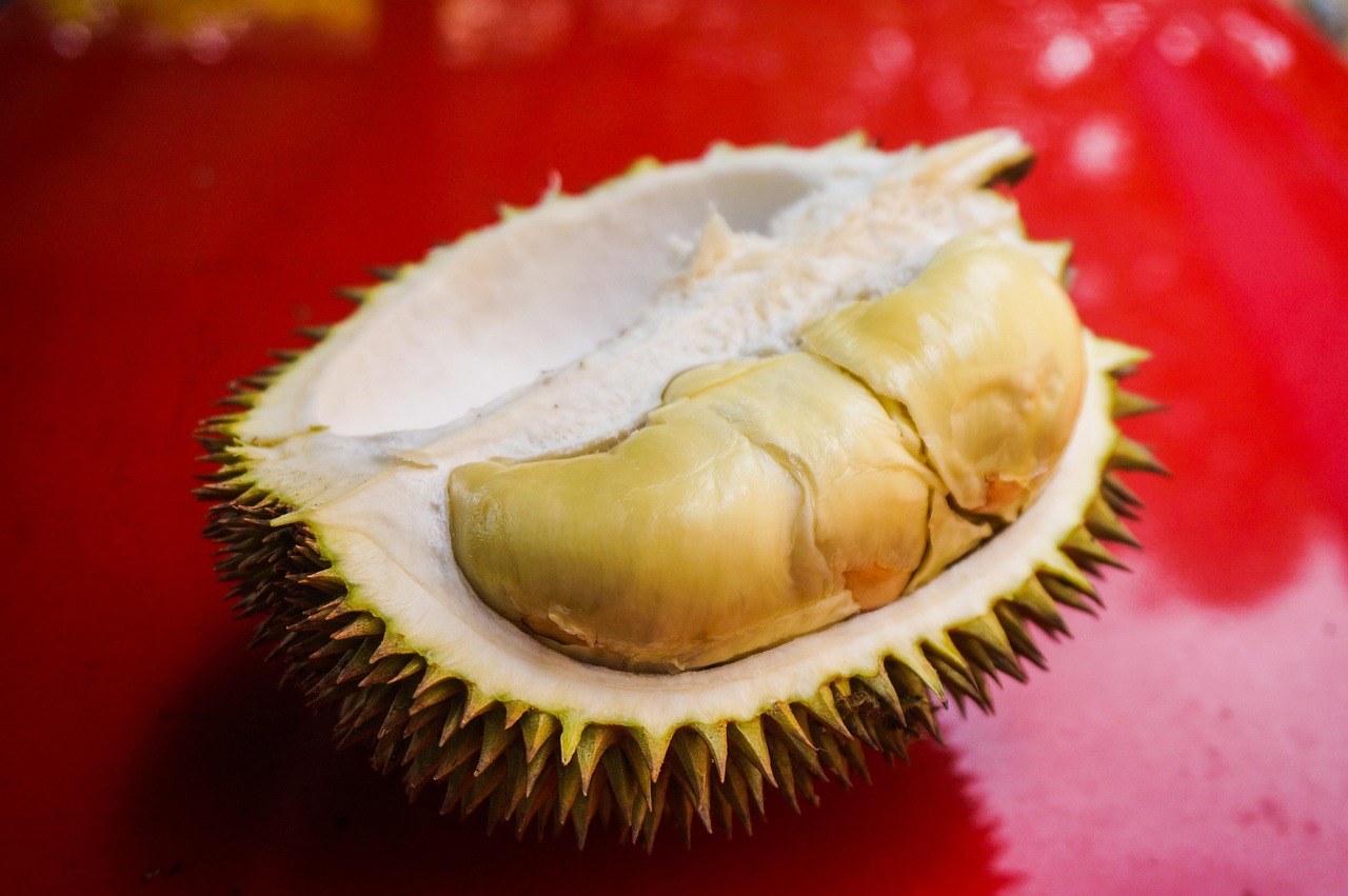 An opened durian shell with pale yellow flesh on a red surface.