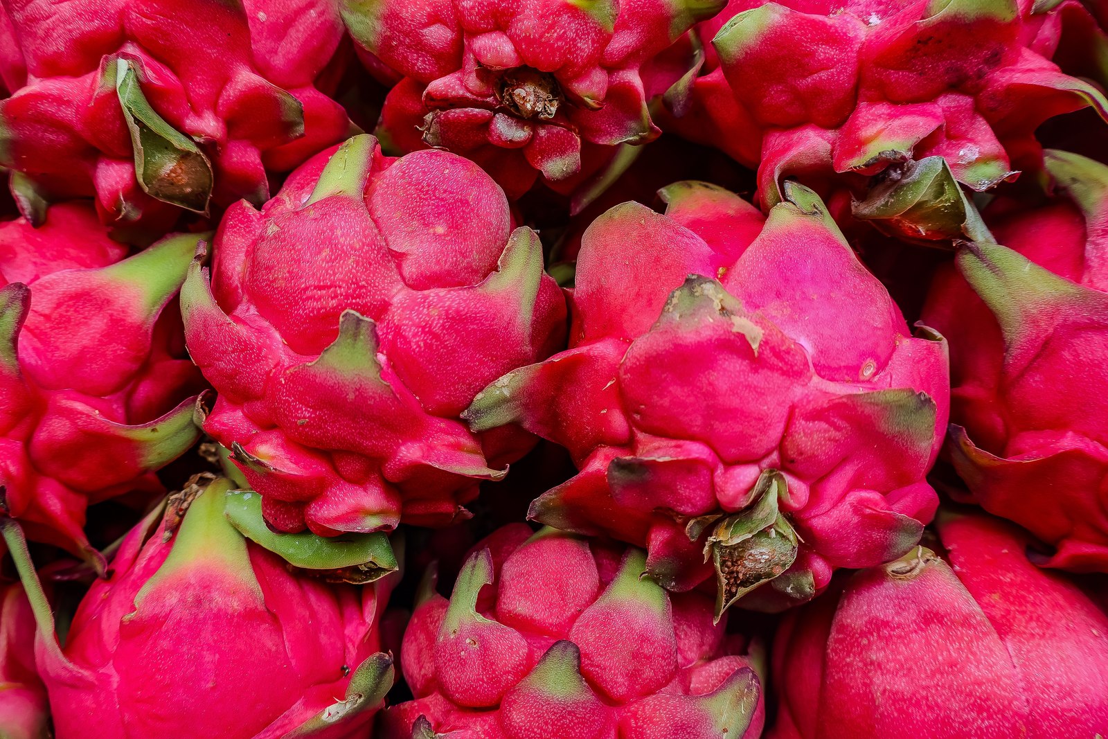 Illustrative dragon fruit photograph; flesh colour and cultivar are not verified.