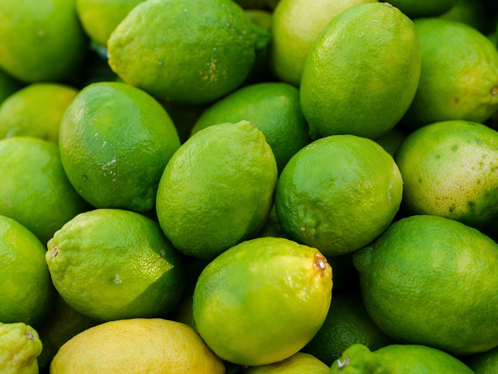 Illustrative lime and citrus photograph; seedlessness is not verified.