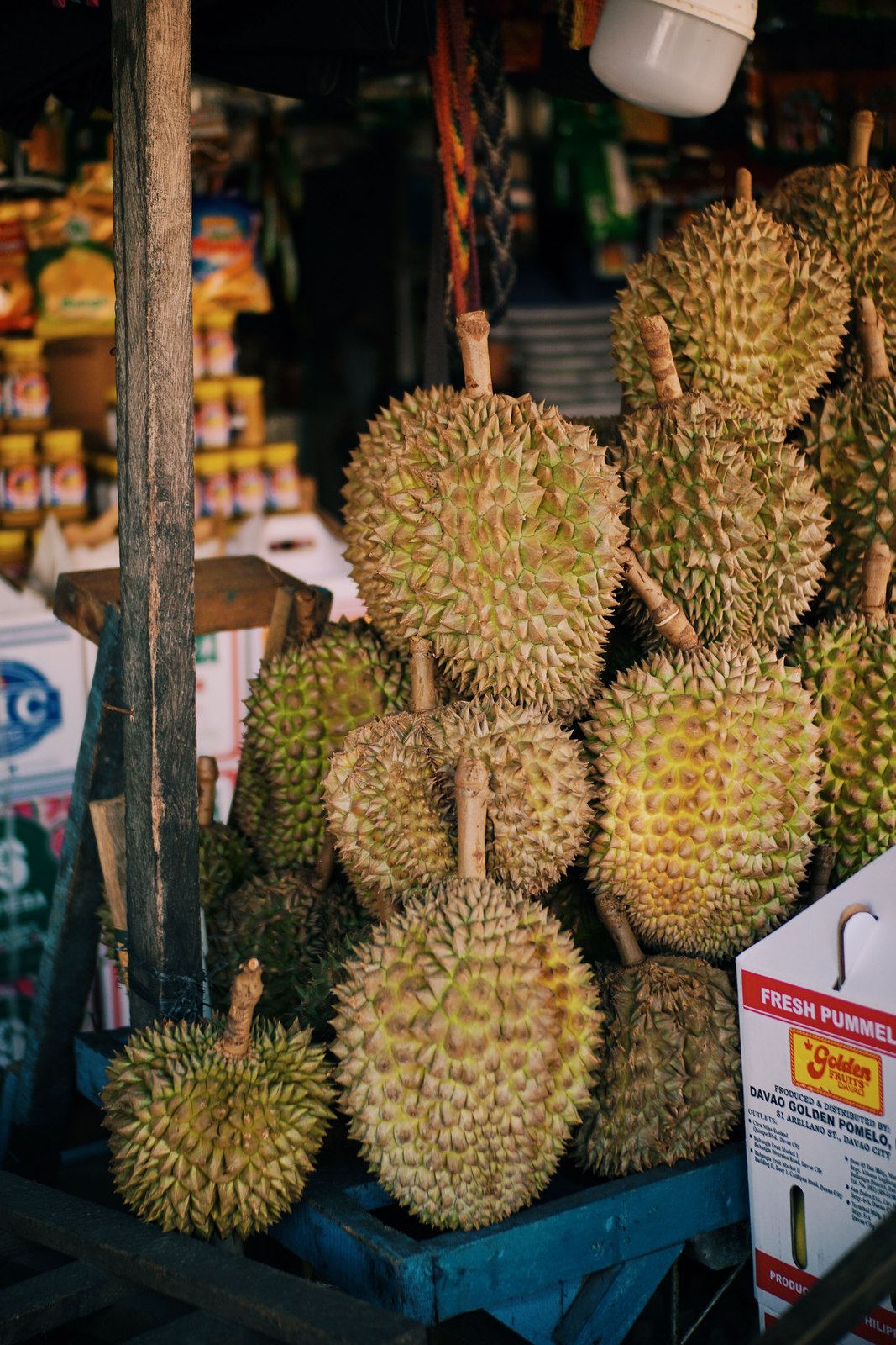 Illustrative fresh durian photograph; cultivar and origin are not verified.