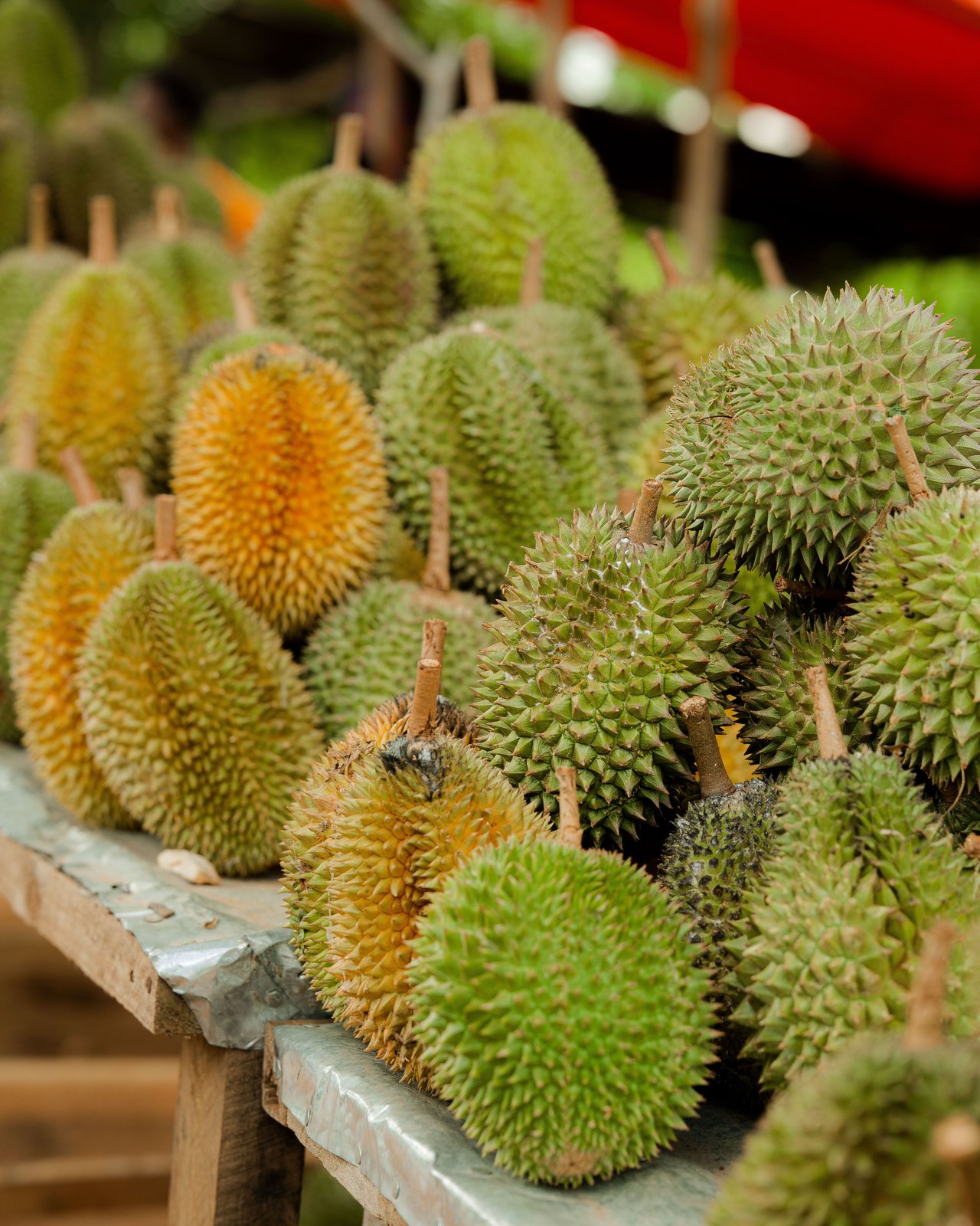 Illustrative fresh durian photograph; cultivar and origin are not verified.
