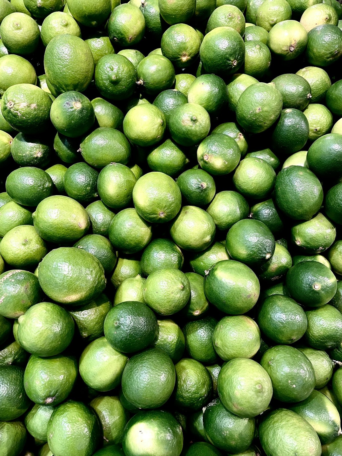 A dense display of whole green limes.