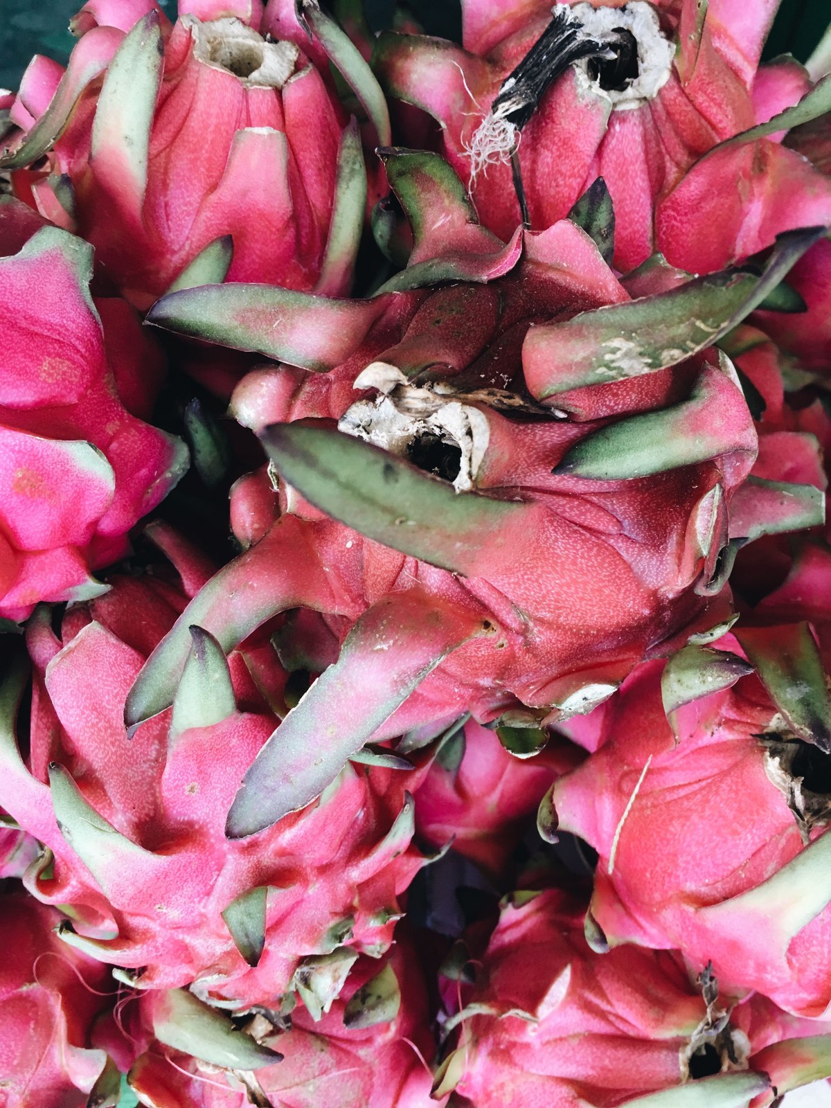 Illustrative dragon fruit photograph; flesh colour and cultivar are not verified.
