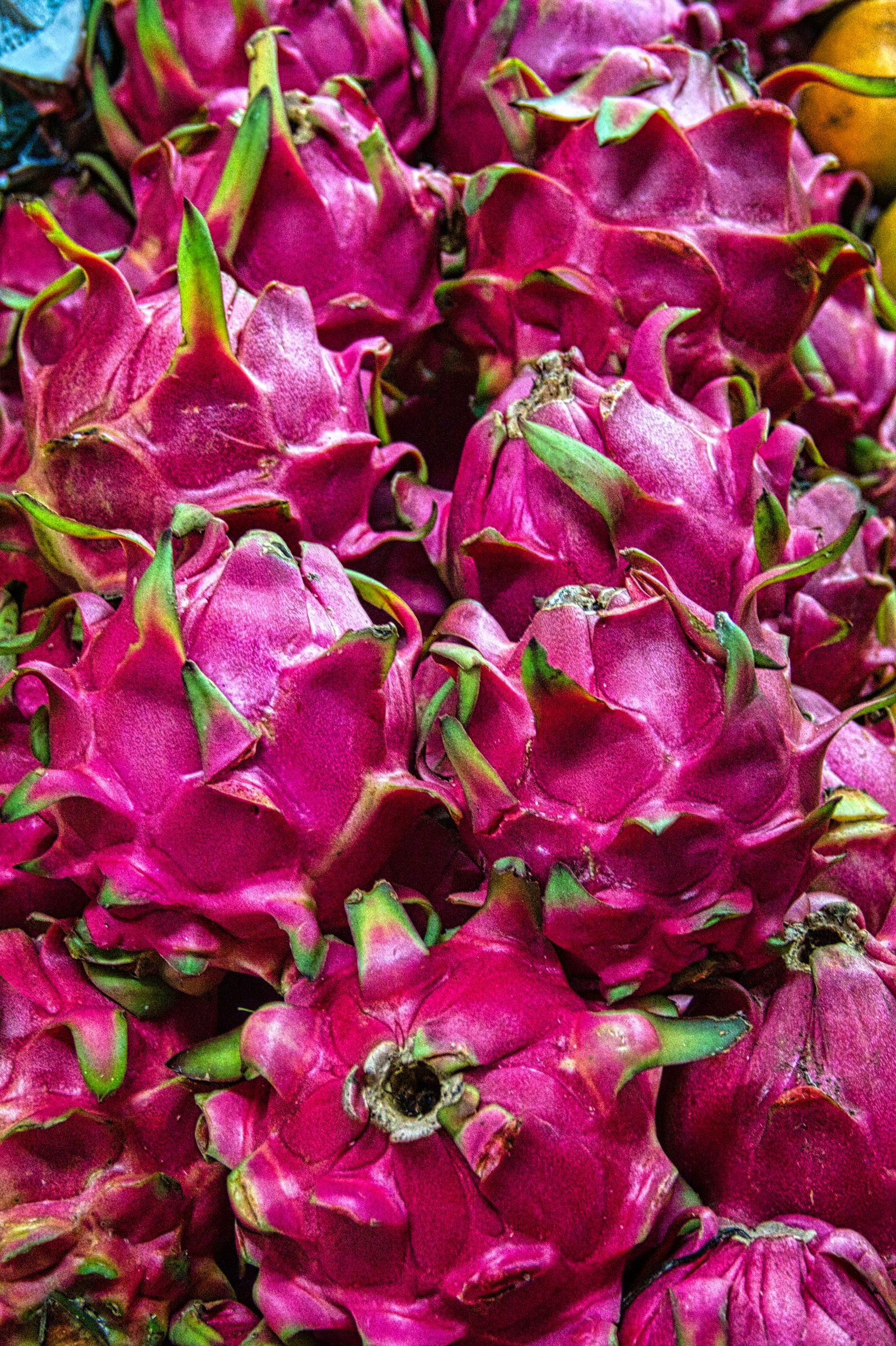 Pink dragon fruits on display at a market