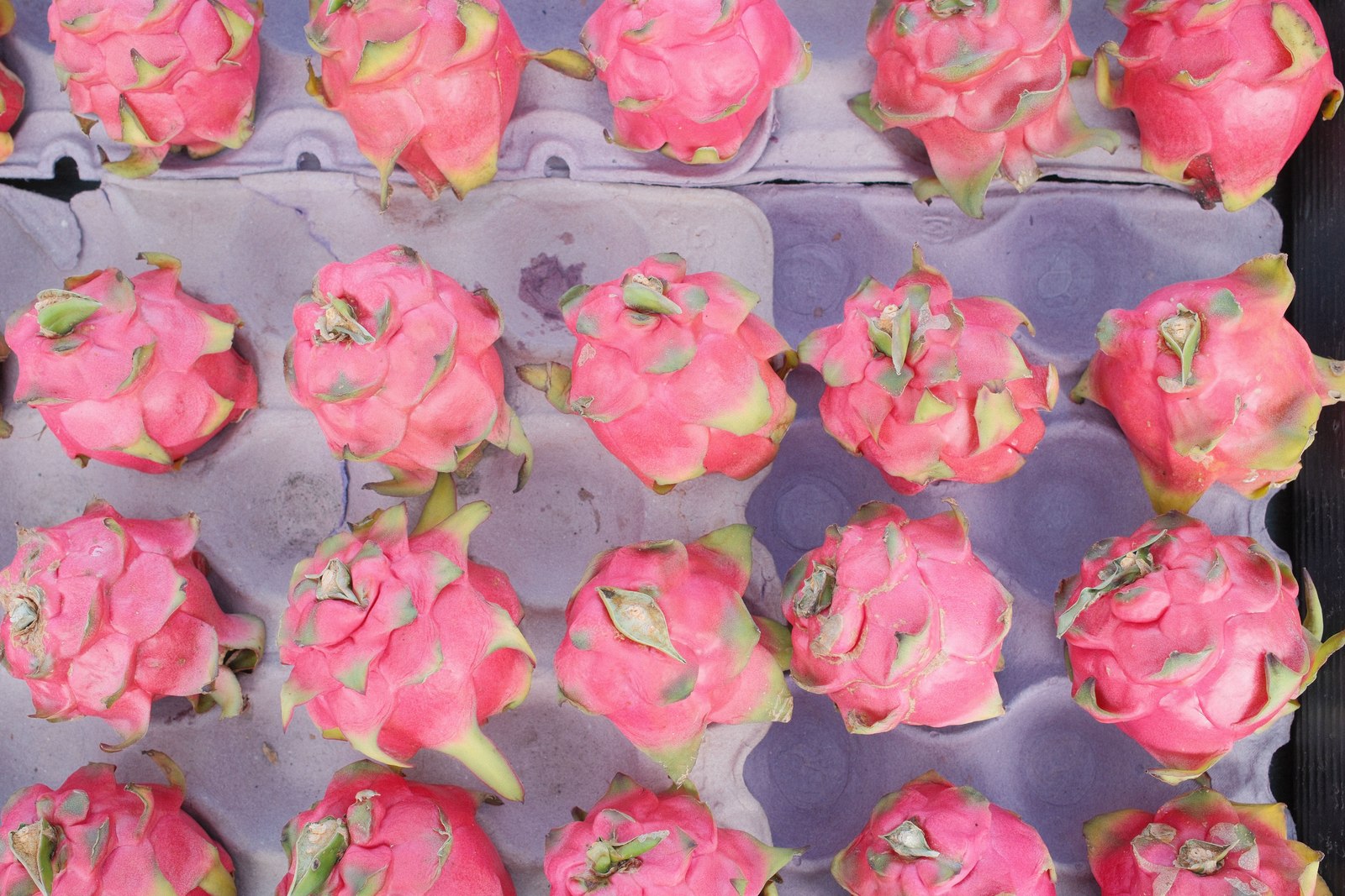 Illustrative dragon fruit photograph; flesh colour and cultivar are not verified.