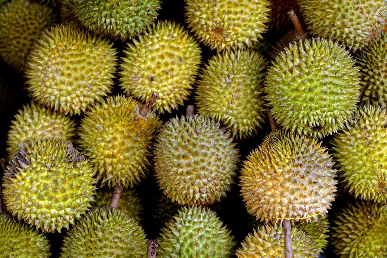 Overhead view of whole durians piled together.