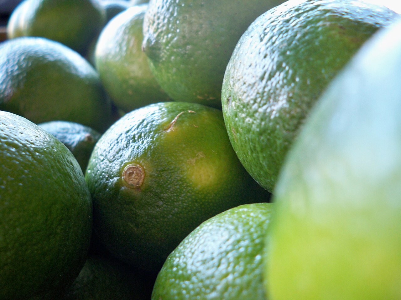 Close-up of the textured skin of fresh green limes.