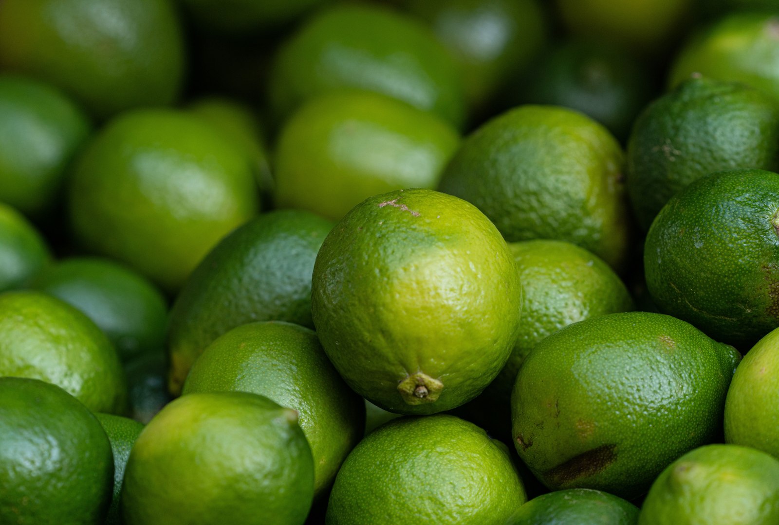 Illustrative lime and citrus photograph; seedlessness is not verified.