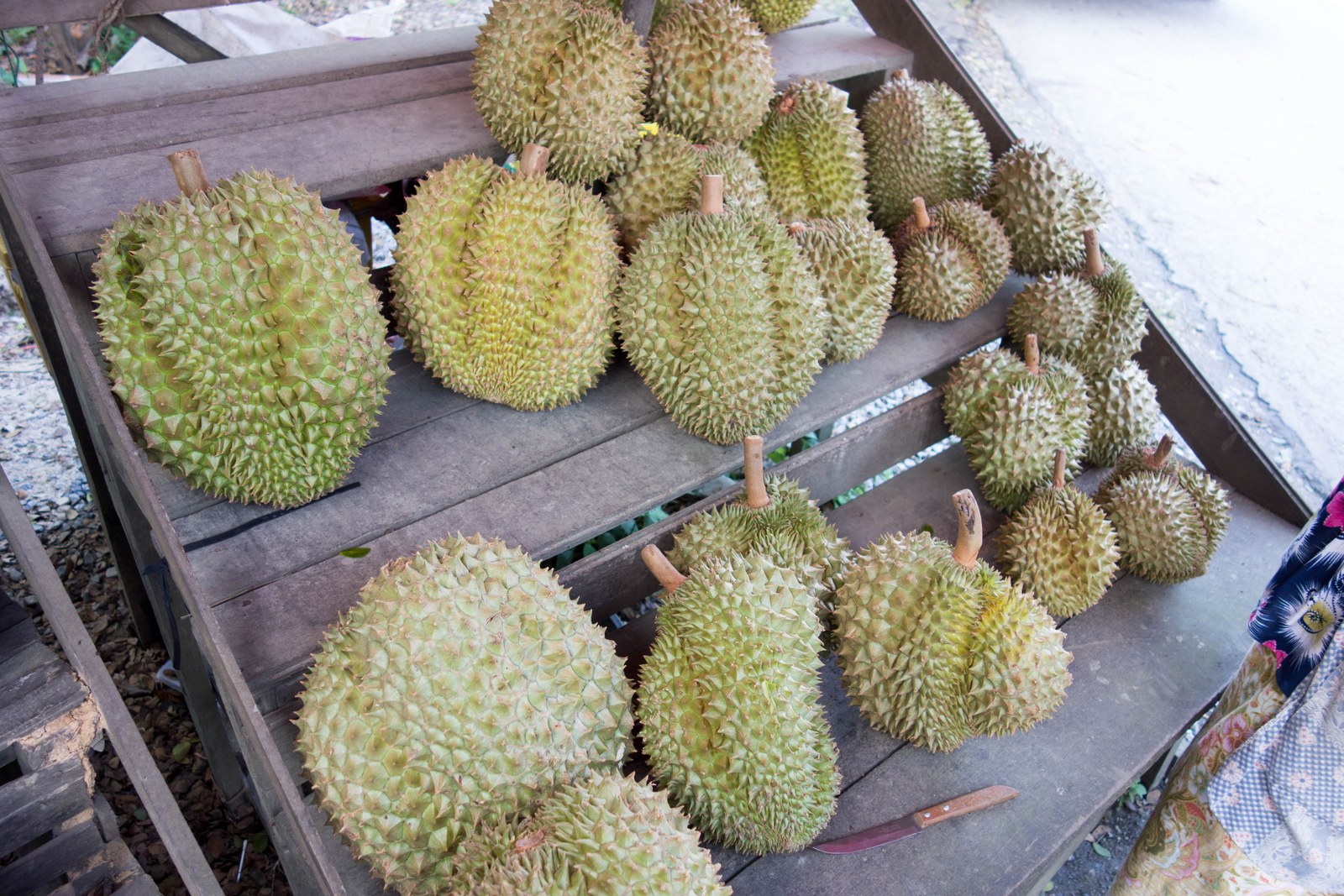 Whole durians arranged on a tiered wooden market stand.