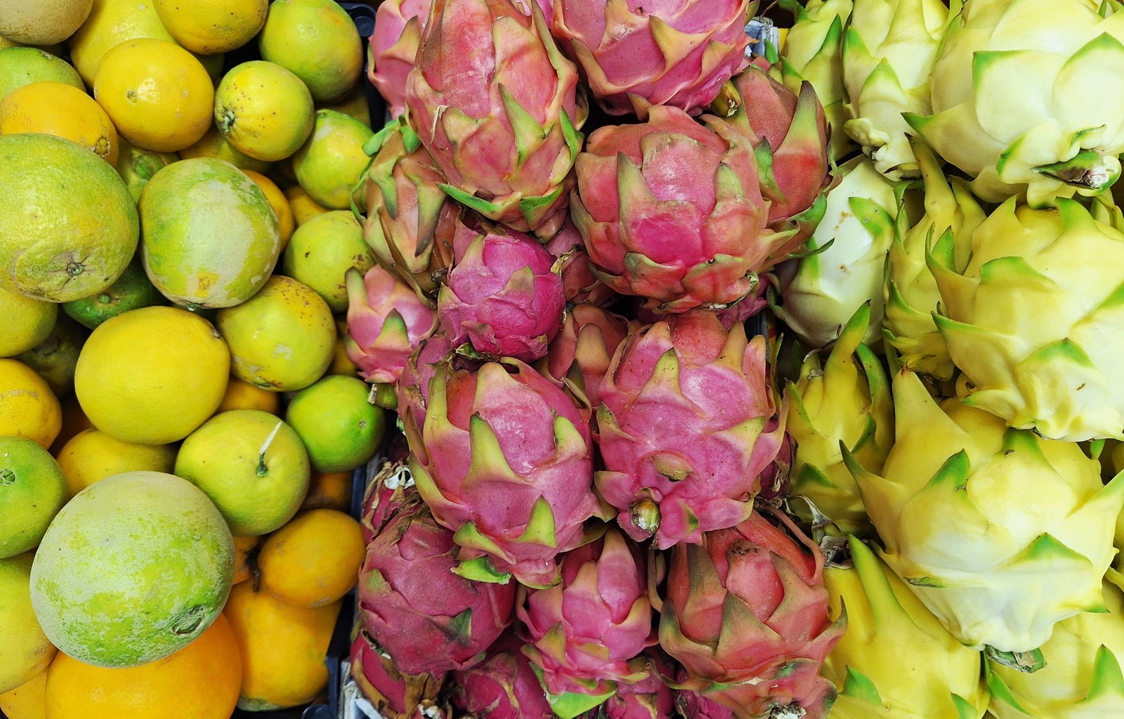 Illustrative dragon fruit photograph; flesh colour and cultivar are not verified.