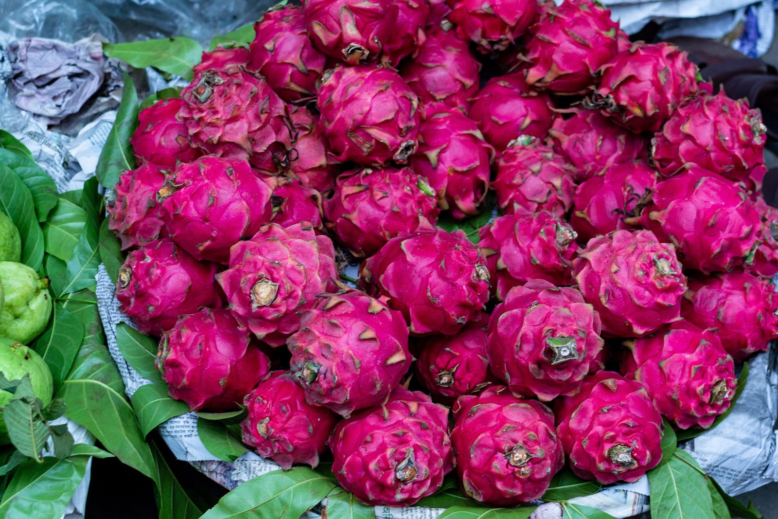 Illustrative dragon fruit photograph; flesh colour and cultivar are not verified.