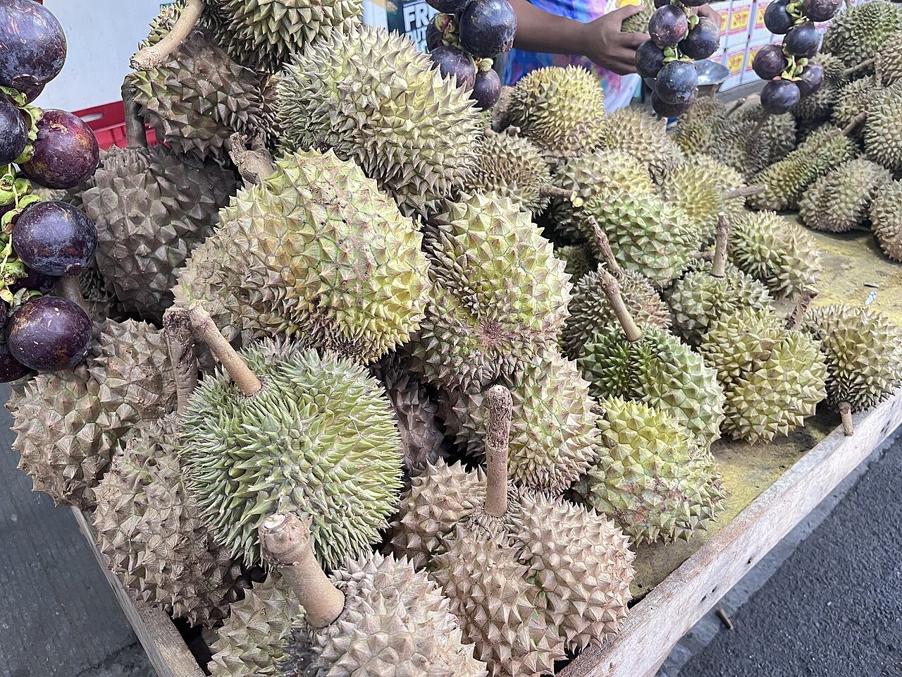 Whole durians displayed at a produce market.