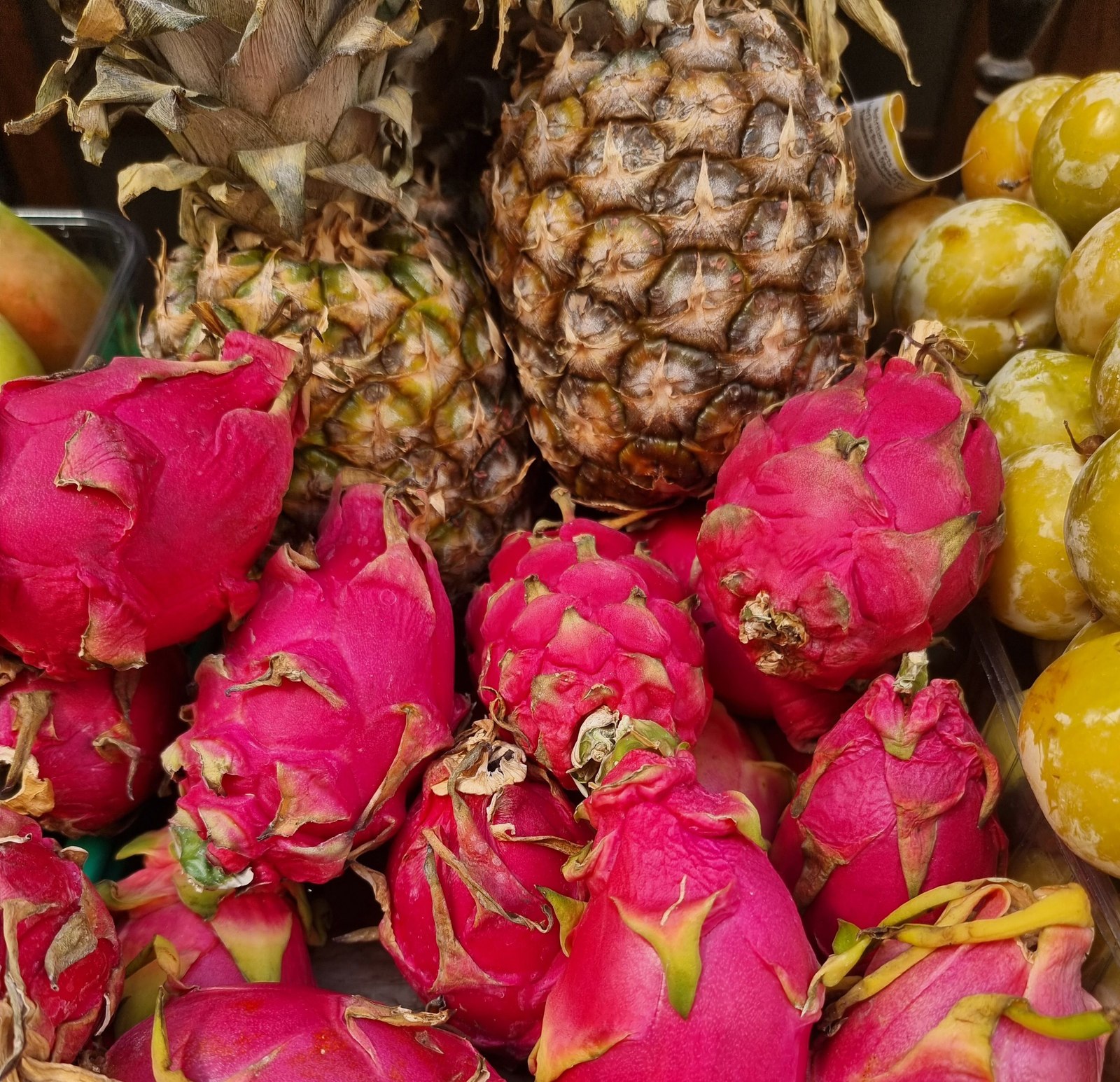Illustrative dragon fruit photograph; flesh colour and cultivar are not verified.