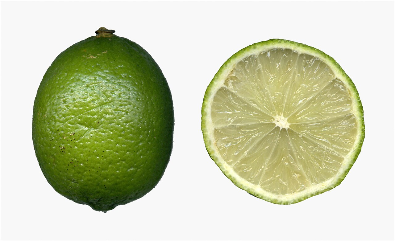 A whole green lime and a cut half on a white background.