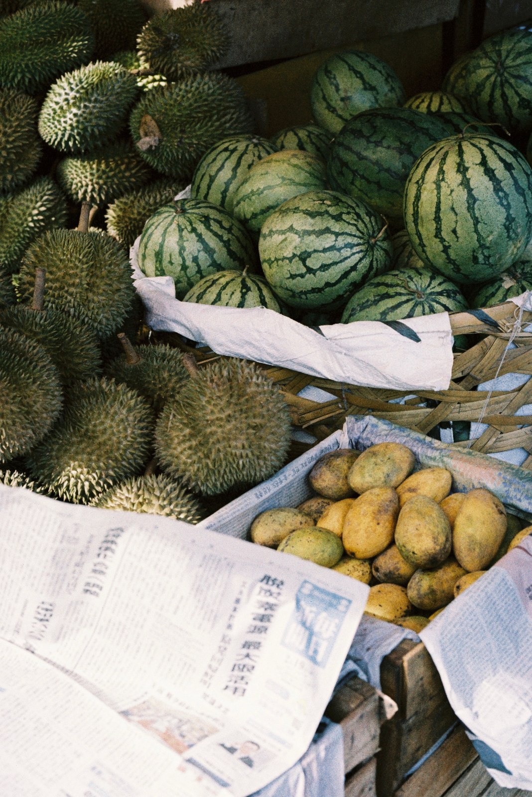 Illustrative fresh durian photograph; cultivar and origin are not verified.