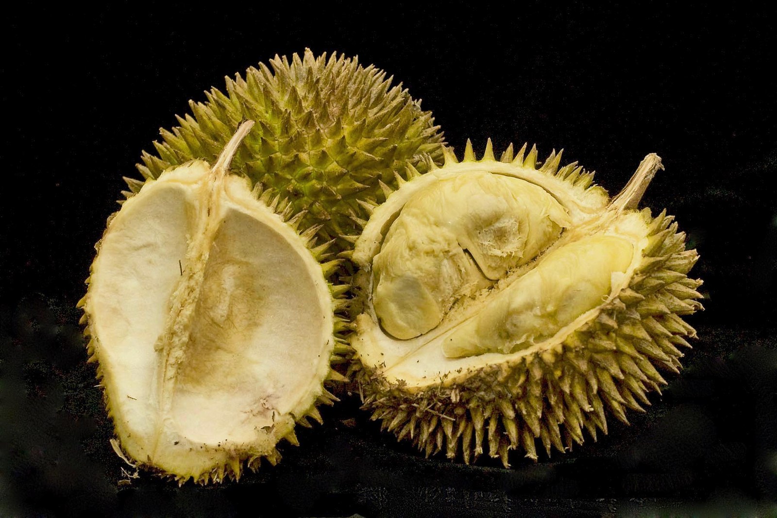 Opened durian sections with pale yellow flesh against a dark background.