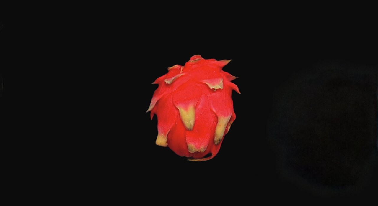 A whole pink-skinned dragon fruit against a dark background; flesh type is not visible.