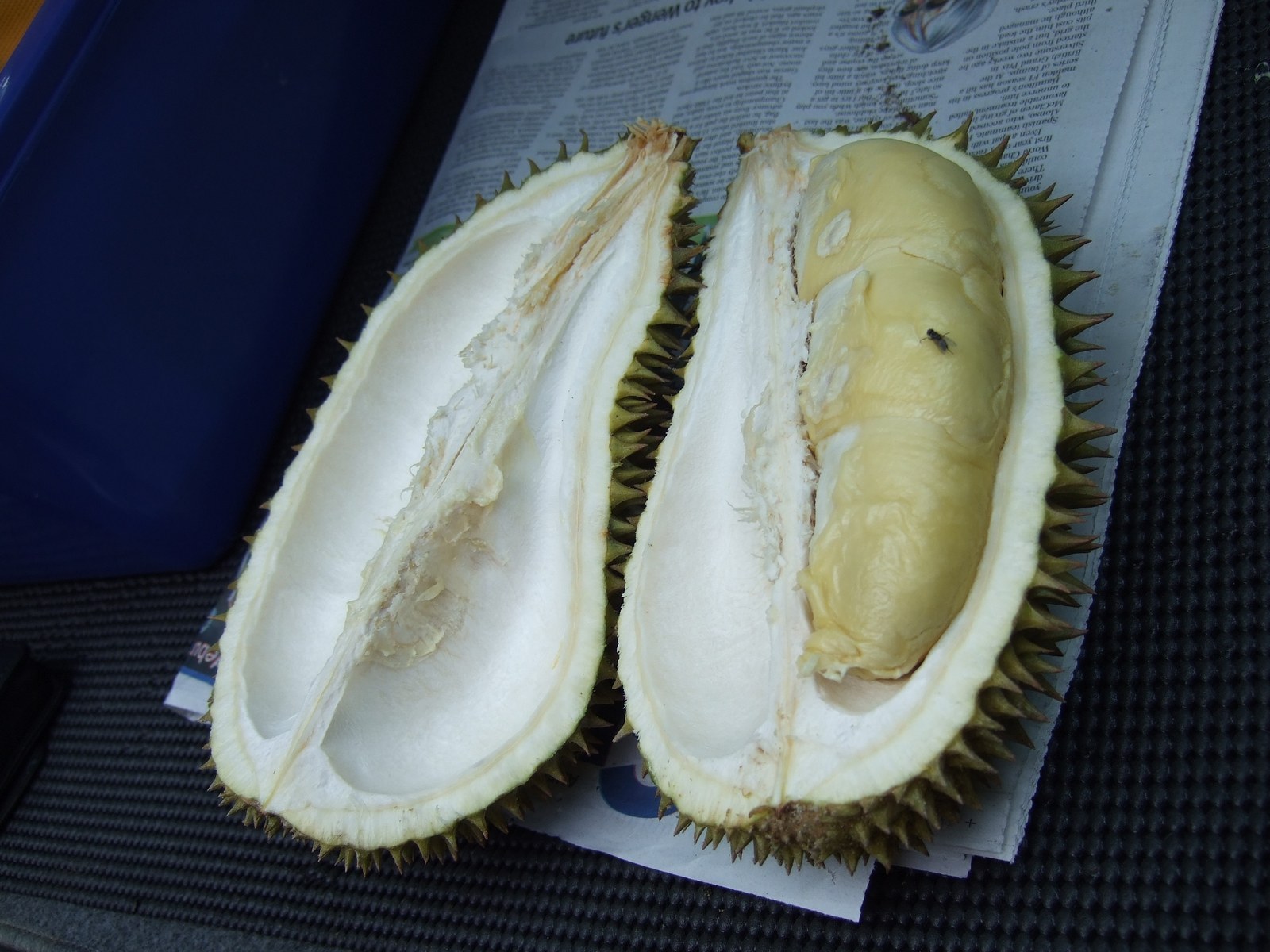 An opened durian shell with a creamy yellow flesh segment.