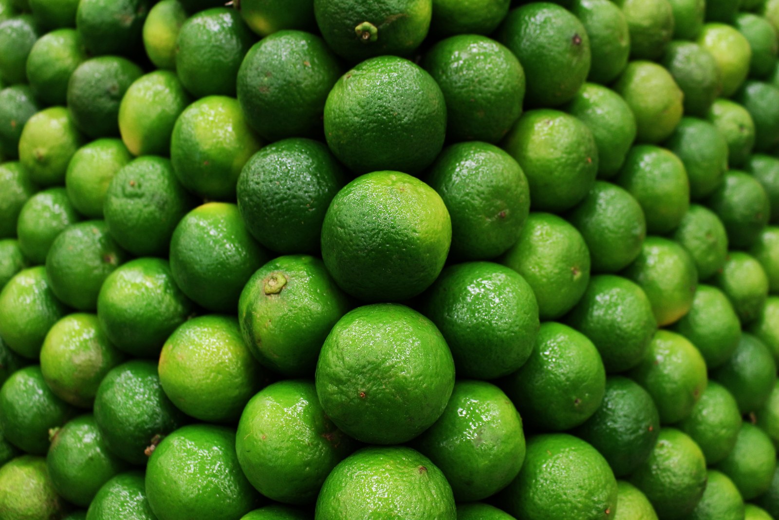 Illustrative lime and citrus photograph; seedlessness is not verified.