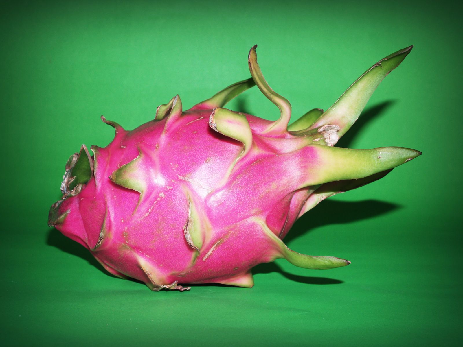 Whole dragon fruit on a green surface