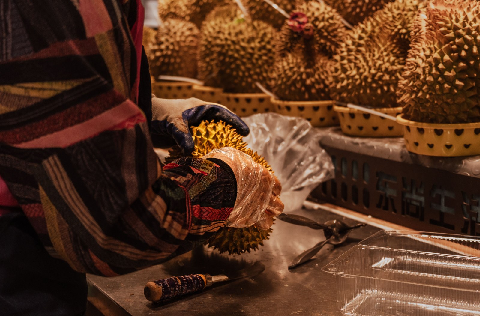 Illustrative fresh durian photograph; cultivar and origin are not verified.