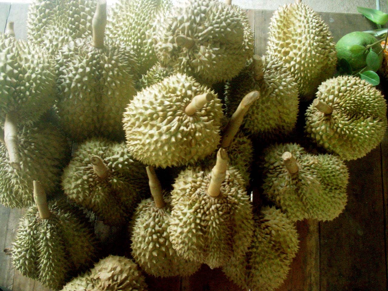 A pile of whole green durians at a fruit stall.