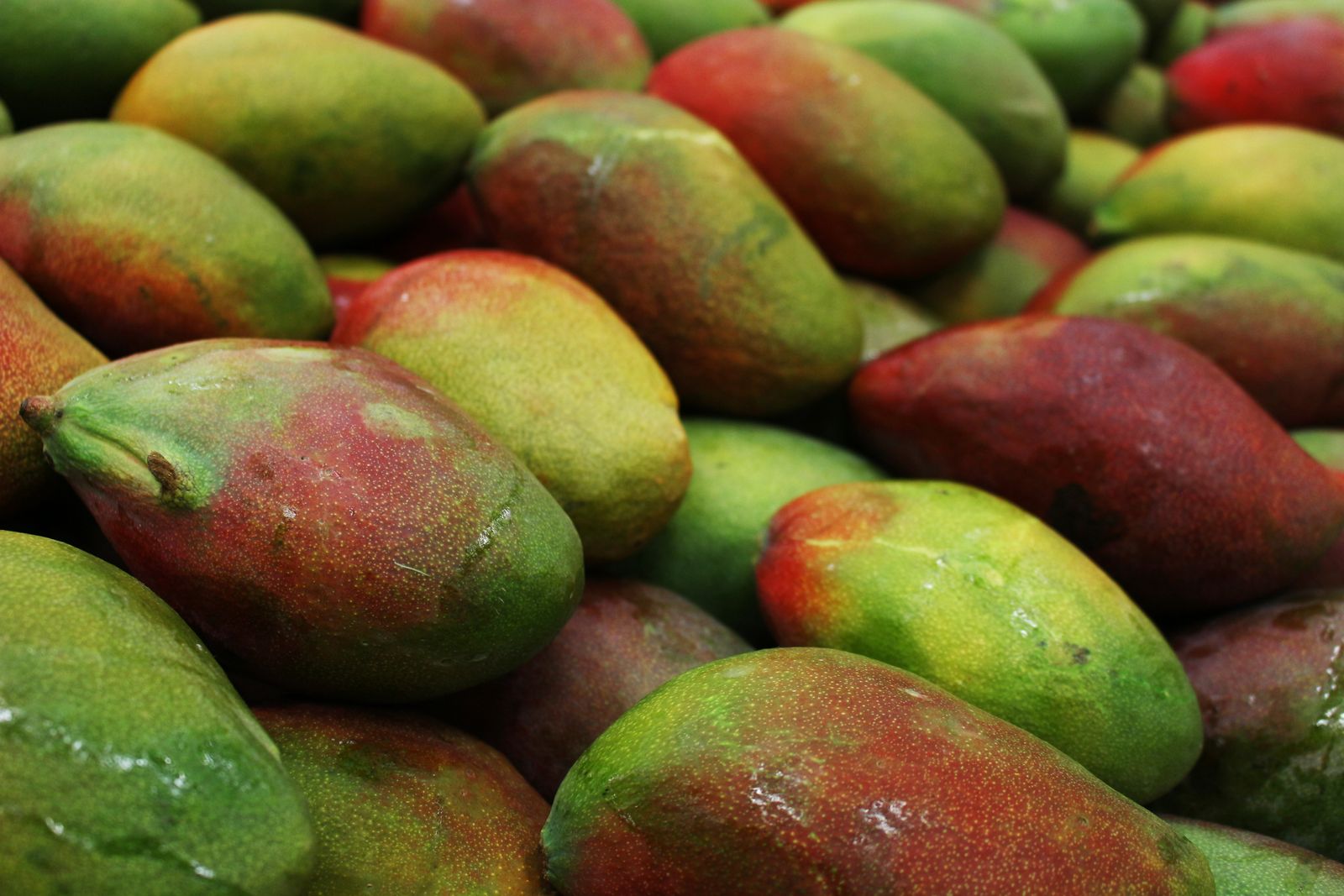 Ripe mangoes photographed in a close-up display