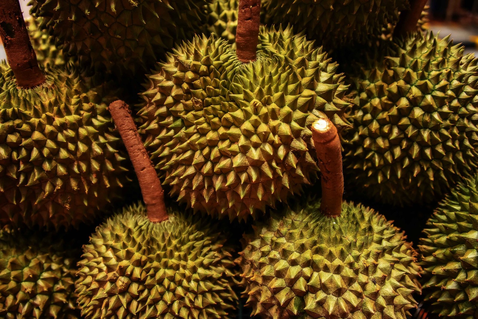 Whole durians with long stems in warm light at a fruit stall.