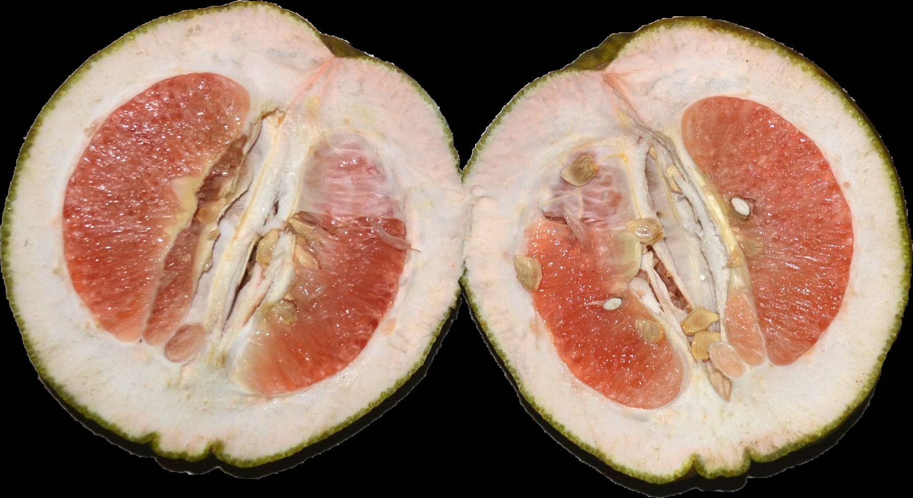A pink-flesh pomelo cut into two halves, showing thick pith and seeds.