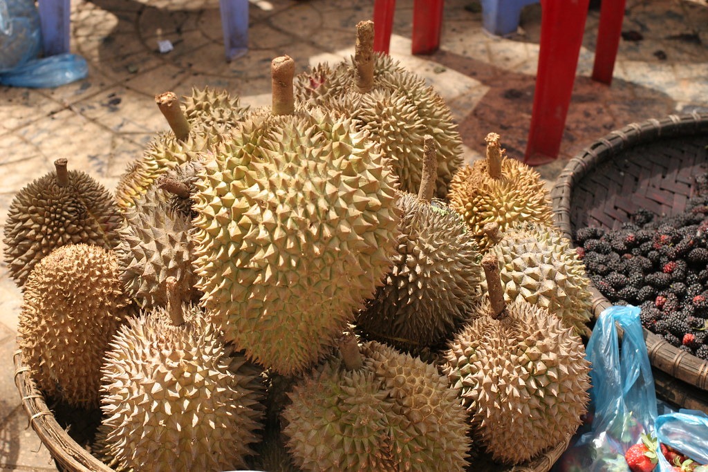 Whole ripe durians displayed in a basket at a market.
